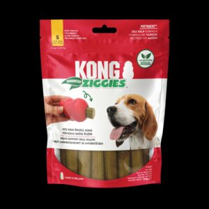 KONG Ziggies